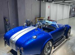 Ford Cobra 5.0