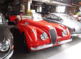 Jaguar Série - XK 120 DHC Roadster