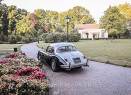 Jaguar Série - XK 150 FHC