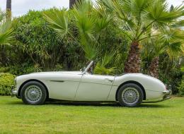 Austin Healey 100 / 6 BN4
