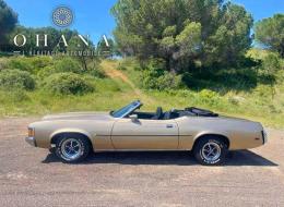 Mercury Cougar 351 CLEVELAND