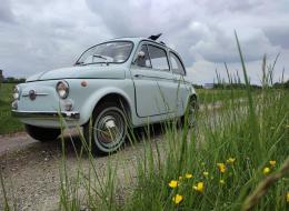 Fiat 500 D