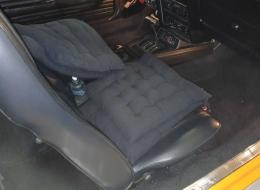 Ford Mustang V8 302 ci