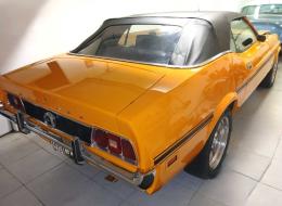 Ford Mustang V8 302 ci