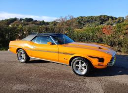 Ford Mustang V8 302 ci