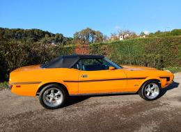 Ford Mustang V8 302 ci