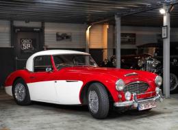 Austin Healey 100 / 6 BN4