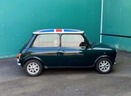 Mini Chic MPI Rover