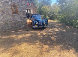 Jaguar Série - XK XK 140 OTS MC