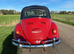 Volkswagen Coccinelle 1965 Cabrio body off restored