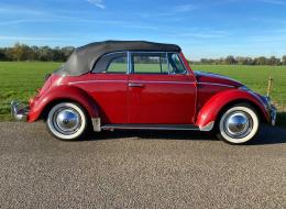 Volkswagen Coccinelle 1965 Cabrio body off restored