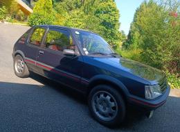 Peugeot 205 Gti 1.9