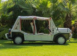 Mini moke Classic