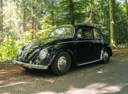 Volkswagen Coccinelle Ovale