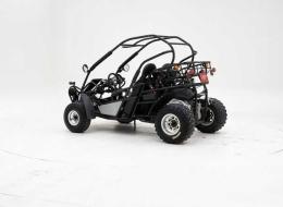 Buggy PGO 250 '2009 CH06569