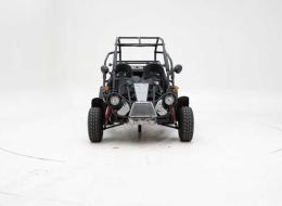 Buggy PGO 250 '2009 CH06569