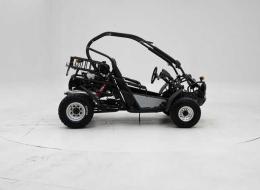 Buggy PGO 250 '2009 CH06569