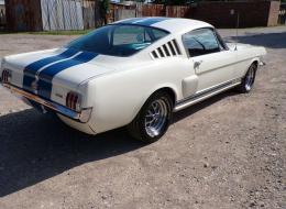 Ford Mustang réplique de la Shelby GT 350