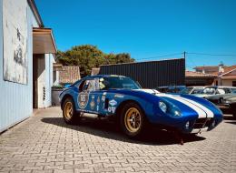 Shelby Cobra Daytona FIA