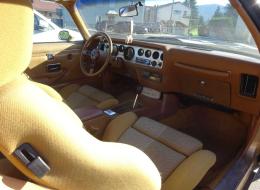 Pontiac Firebird 4,9 l turbo