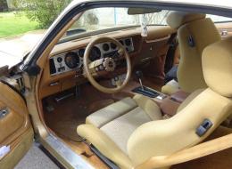 Pontiac Firebird 4,9 l turbo