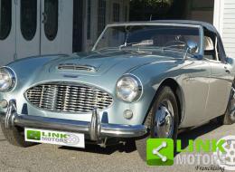 Austin Healey 100 / 6 BN4