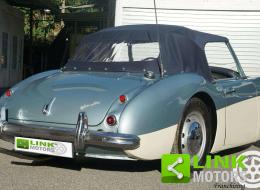 Austin Healey 100 / 6 BN4