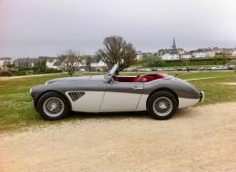 Austin Healey 3000