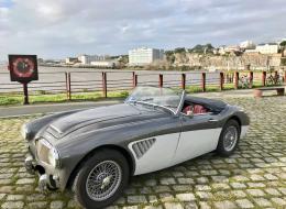 Austin Healey 3000
