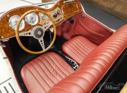 MG TD