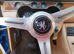 Iso Rivolta  Fidia s4