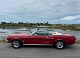 Ford Mustang 289