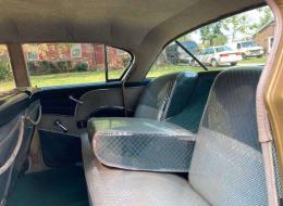 Nash Ambassador