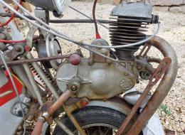 Tricycle - Trilec 