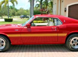 Shelby GT 500