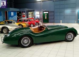 Jaguar Série - XK 120 ROADSTER