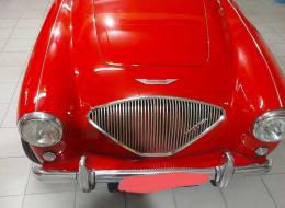 Austin Healey 100 4 Guida sx