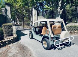 Mini moke Classic Bee Beach 