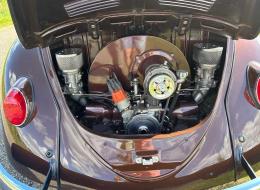Volkswagen Coccinelle 1969 cabrio Special Price winner