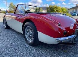 Austin Healey 100 6