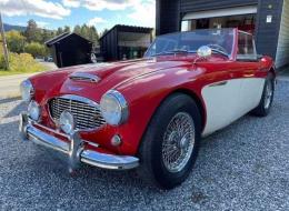 Austin Healey 100 6