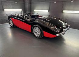 Austin Healey 100 BN1 ROADSTER 2.6