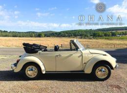 Volkswagen Coccinelle 1303