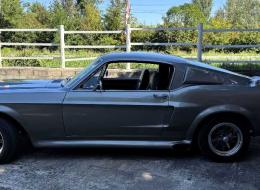 Ford Mustang FASTBACK ELEANOR GT 350 