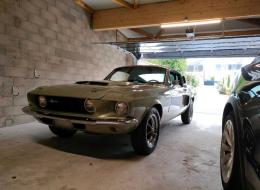 Shelby GT Mustang GT500