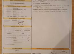 Renault 4 TL CARTE JEUNE
