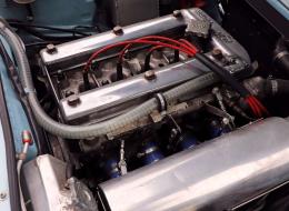 Alfa Roméo Giulia GT 1750 GTAm (R) FIA