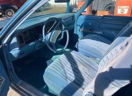 AMC Pacer Wagon