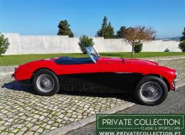 Austin Healey 100 BN1
