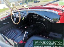 Austin Healey 100 BN1